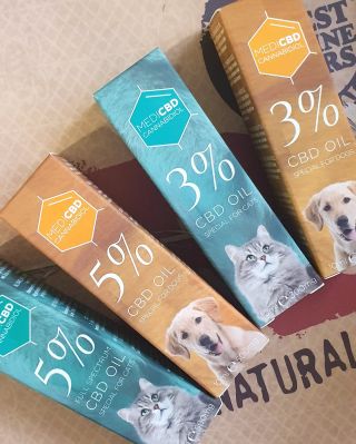 Vyzkoušejte naše CBD oleje pro vaše čtyřnohé kamarády 🐶🐈‍⬛